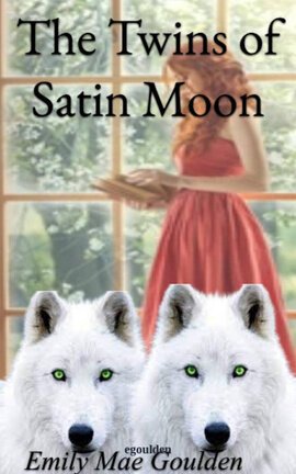 #7 The Twins of Satin Moon