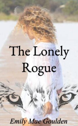 #9 The Lonely Rogue