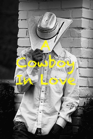 A Cowboy In Love