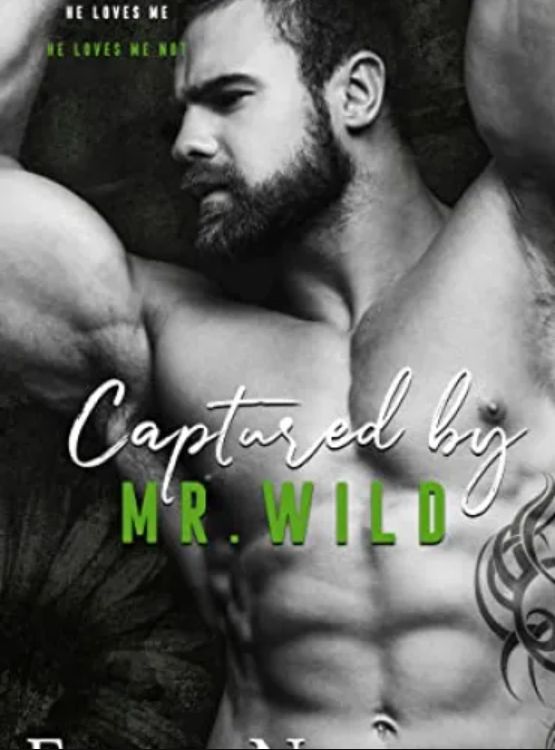 Captured by Mr. Wild (The Men Series – Interconnected Standalone Romances Book 4)