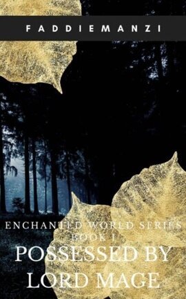 ENCHANTED WORLD SERIES BOOK 1: POSSESSED BY LORD MAGE