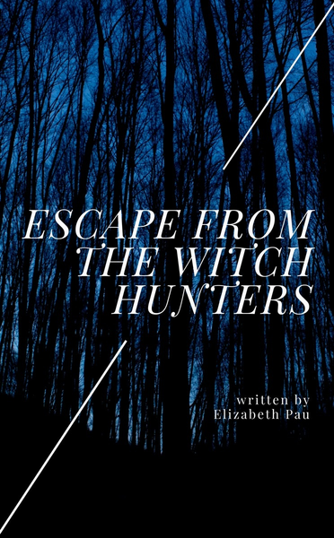 Escape from the Witch Hunters