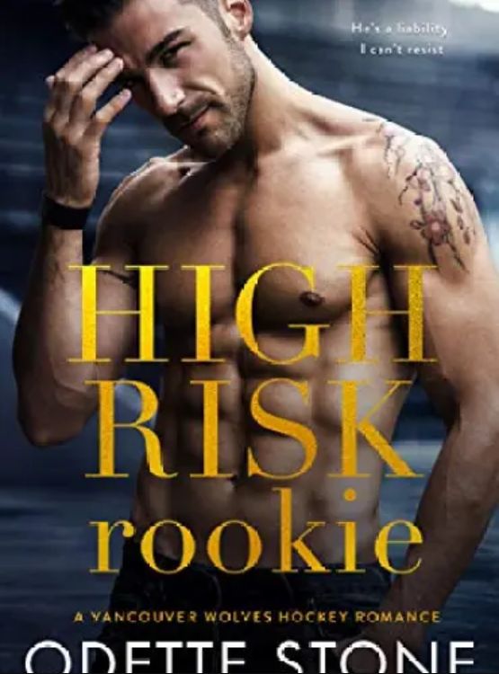 High Risk Rookie (A Vancouver Wolves Hockey Romance Book 4)
