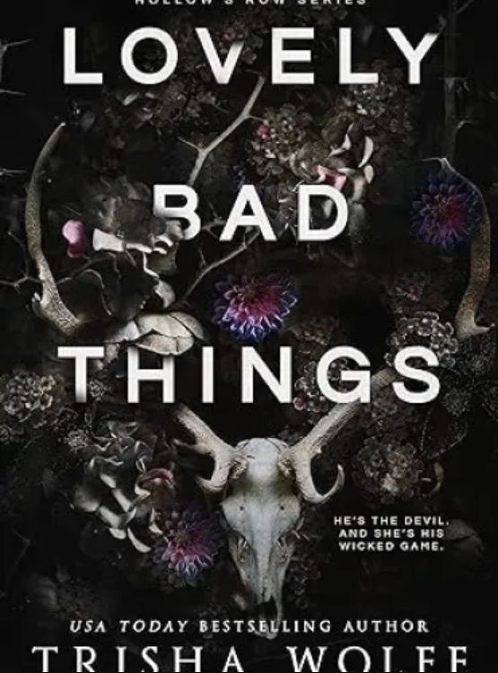 Lovely Bad Things: A Dark Romance (Hollow’s Row 1)
