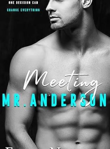Meeting Mr Anderson (The Men Series Book 1)