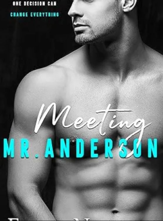 Meeting Mr Anderson (The Men Series – Interconnected Standalone Romances Book 1)