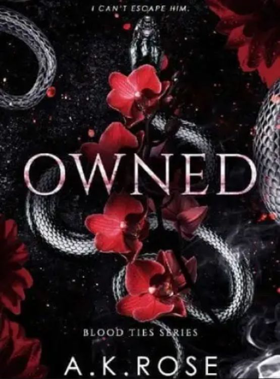 Owned (Blood Ties Book 4)