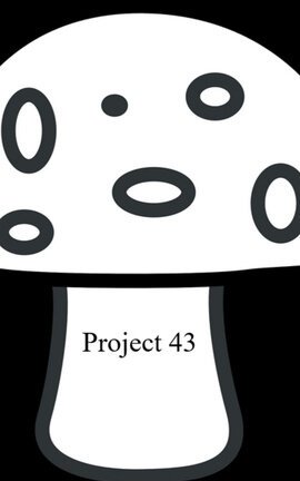 Project 43