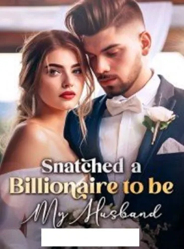 Snatched a Billionaire to be My Husband Novel Full Episode