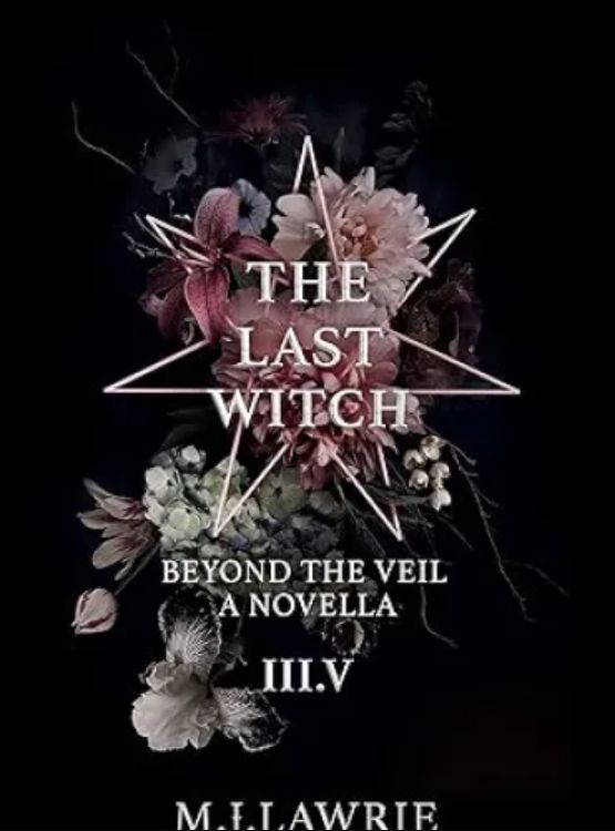The Last Witch: 3.5: Beyond The Veil. A Novella