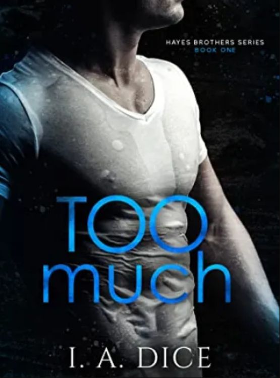 Too Much : Hayes Brothers Book 1