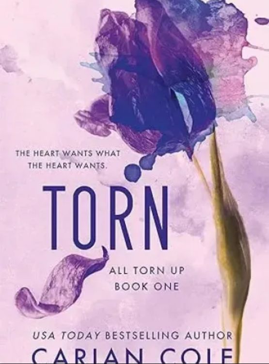 Torn (All Torn Up Book 1)