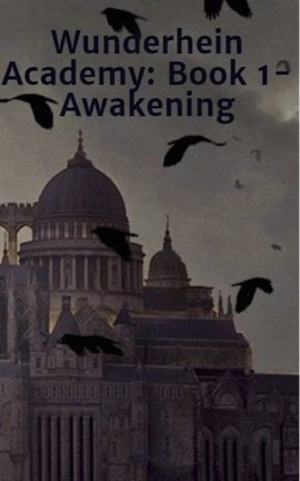 Wunderhein Academy: Book 1- Awakening